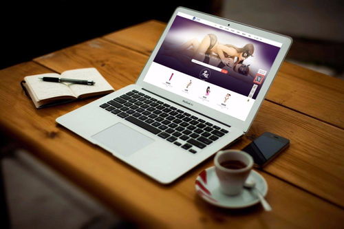 g點(diǎn)網(wǎng) 情趣商品在線體驗(yàn)式平臺